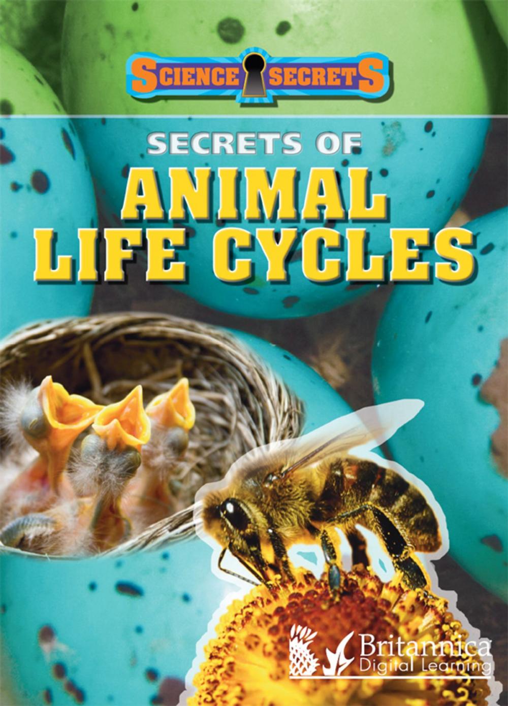 Big bigCover of Secrets of Animal Life Cycles