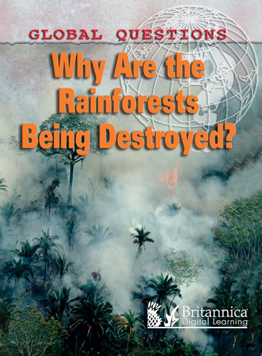 Big bigCover of Why Are the Rain Forests Being Destroyed?