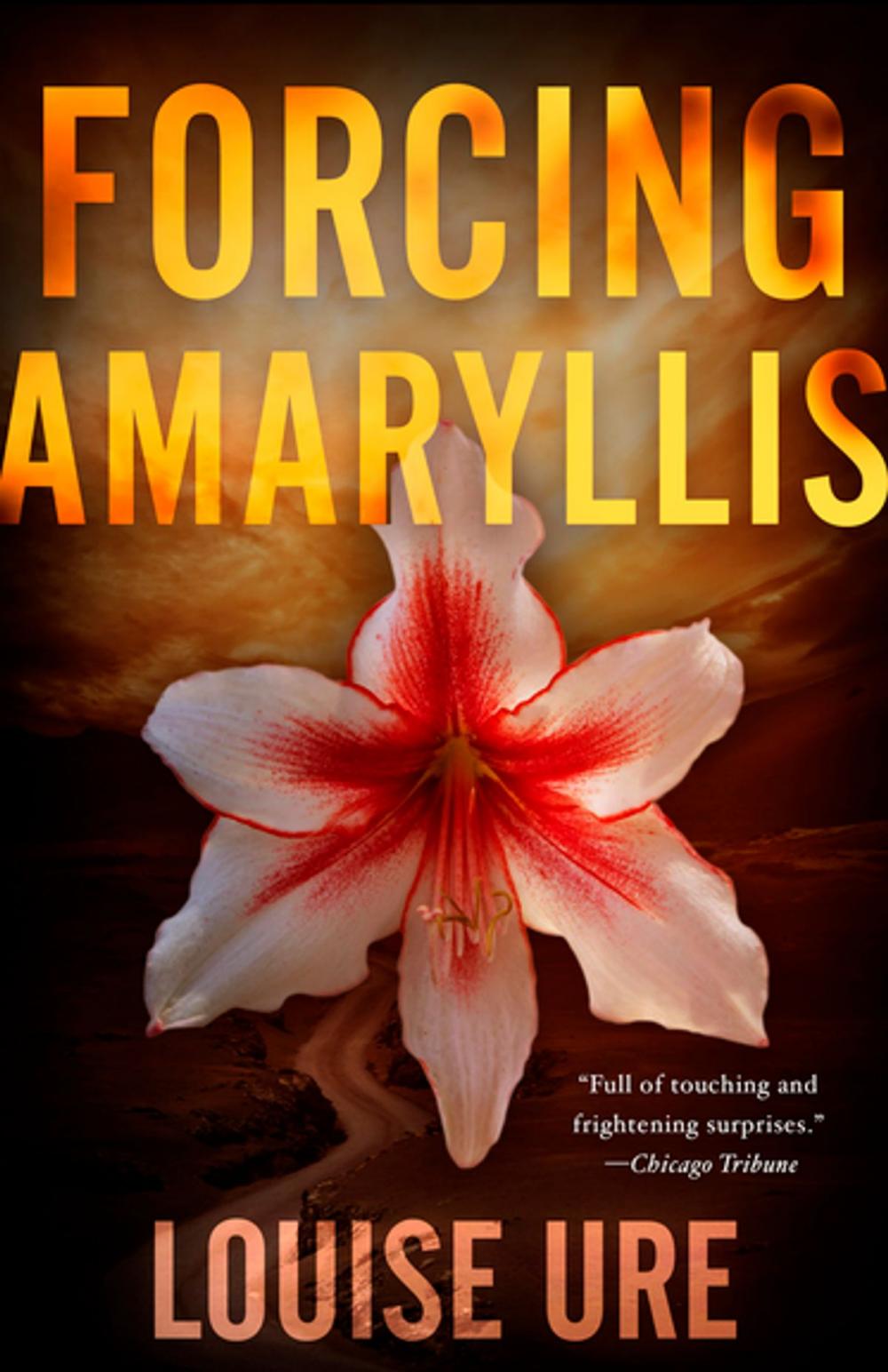 Big bigCover of Forcing Amaryllis