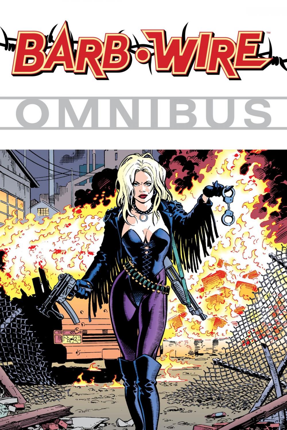 Big bigCover of Barb Wire Omnibus Volume 1