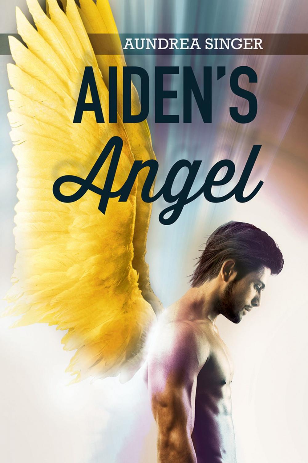 Big bigCover of Aiden's Angel