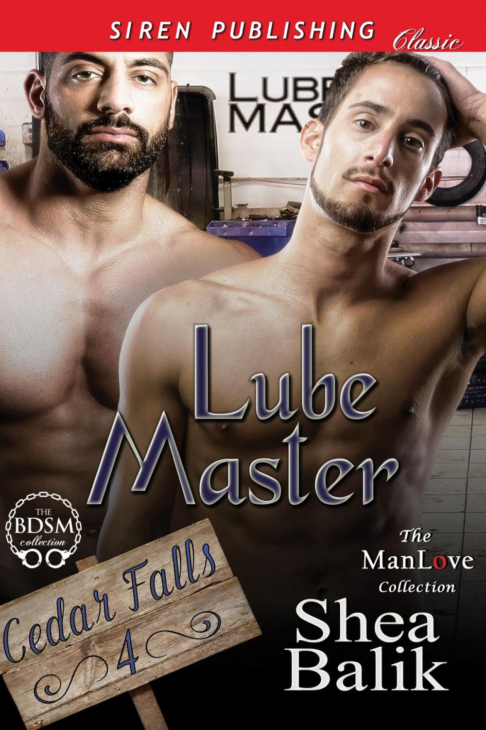 Big bigCover of Lube Master