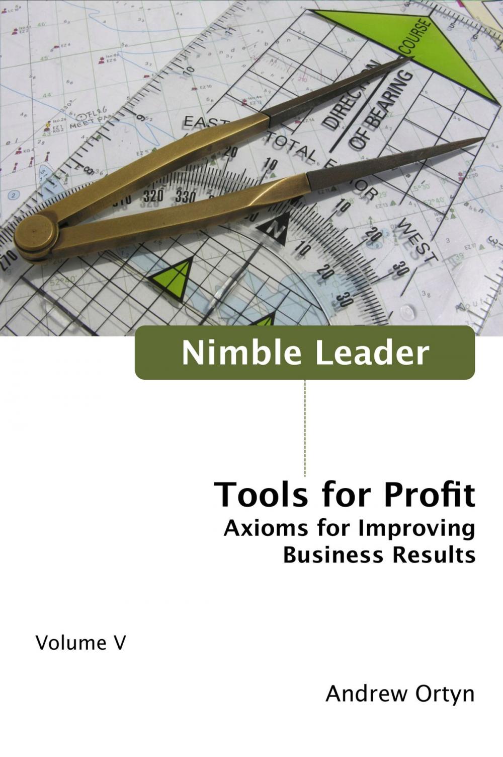 Big bigCover of Nimble Leader Volume V