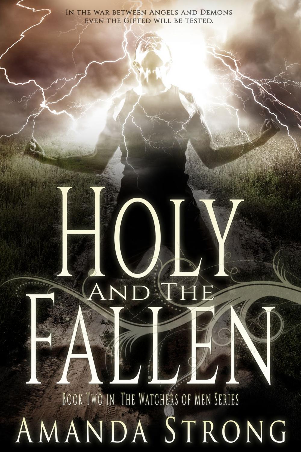 Big bigCover of Holy and the Fallen