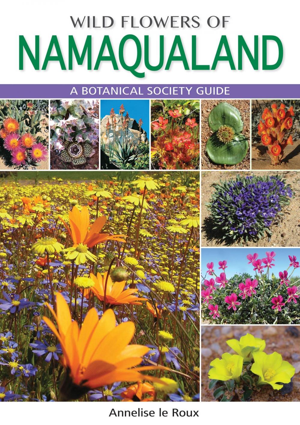 Big bigCover of Wild Flowers of Namaqualand