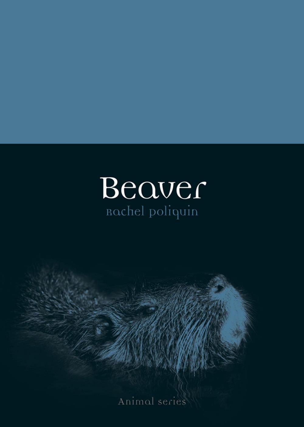 Big bigCover of Beaver