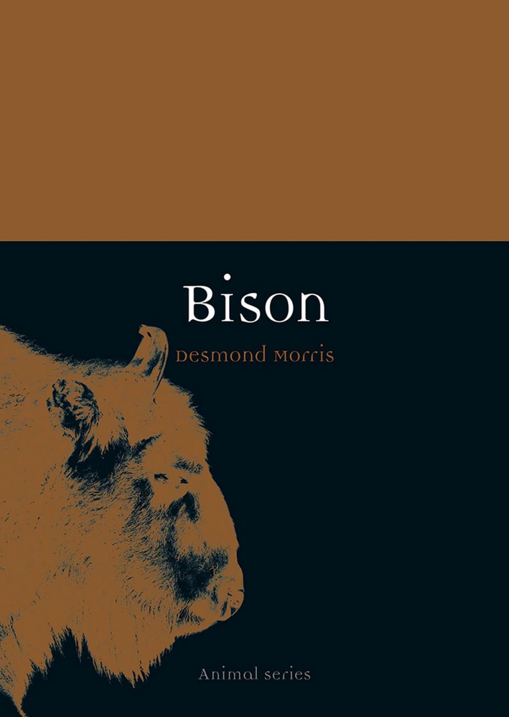 Big bigCover of Bison