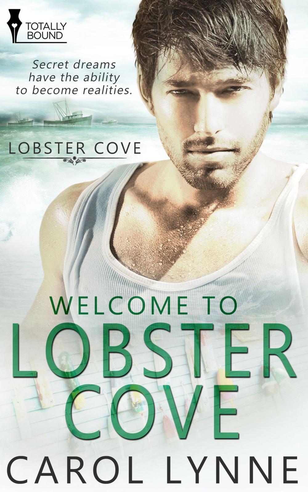 Big bigCover of Welcome to Lobster Cove