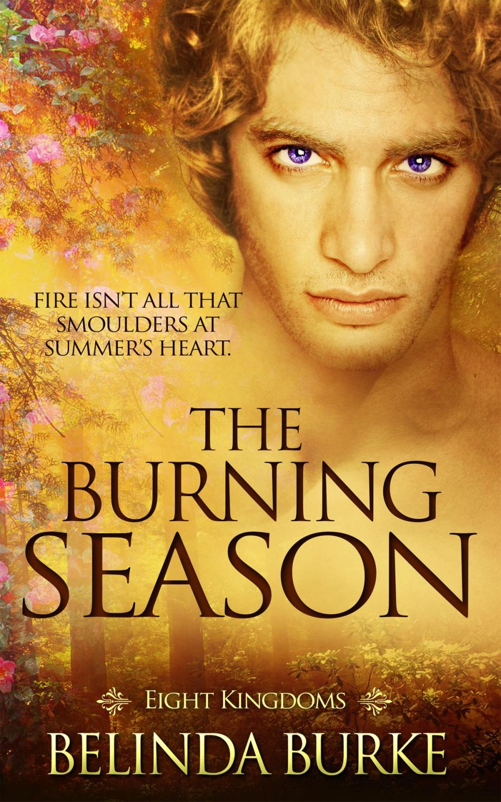 Big bigCover of The Burning Season