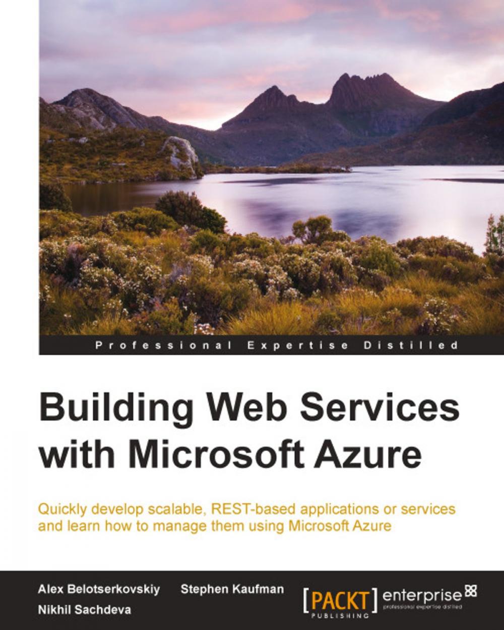 Big bigCover of Building Web Services with Microsoft Azure