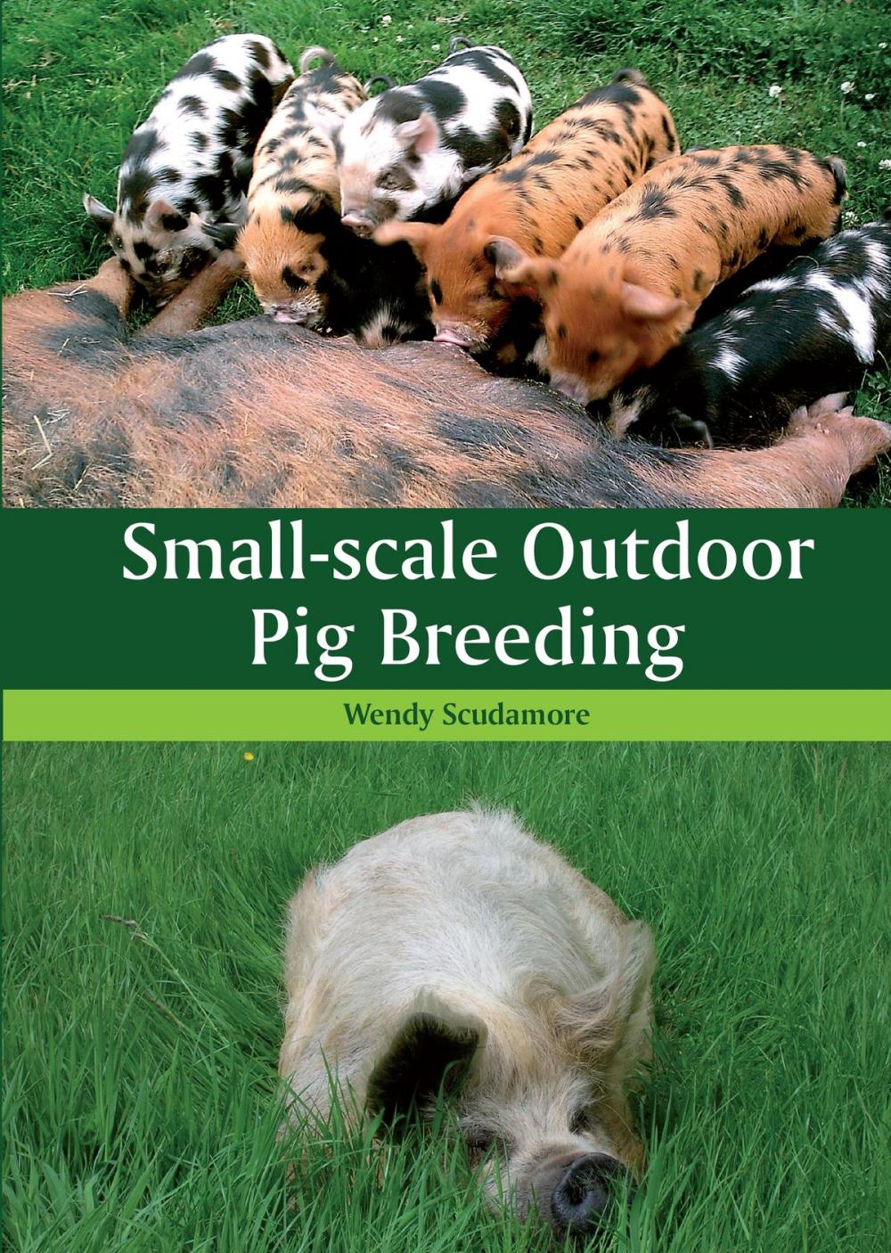 Big bigCover of Small-scale Outdoor Pig Breeding