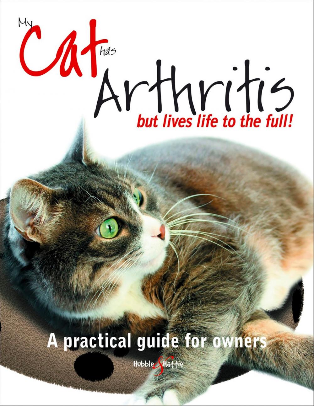 Big bigCover of My cat has arthritis ...