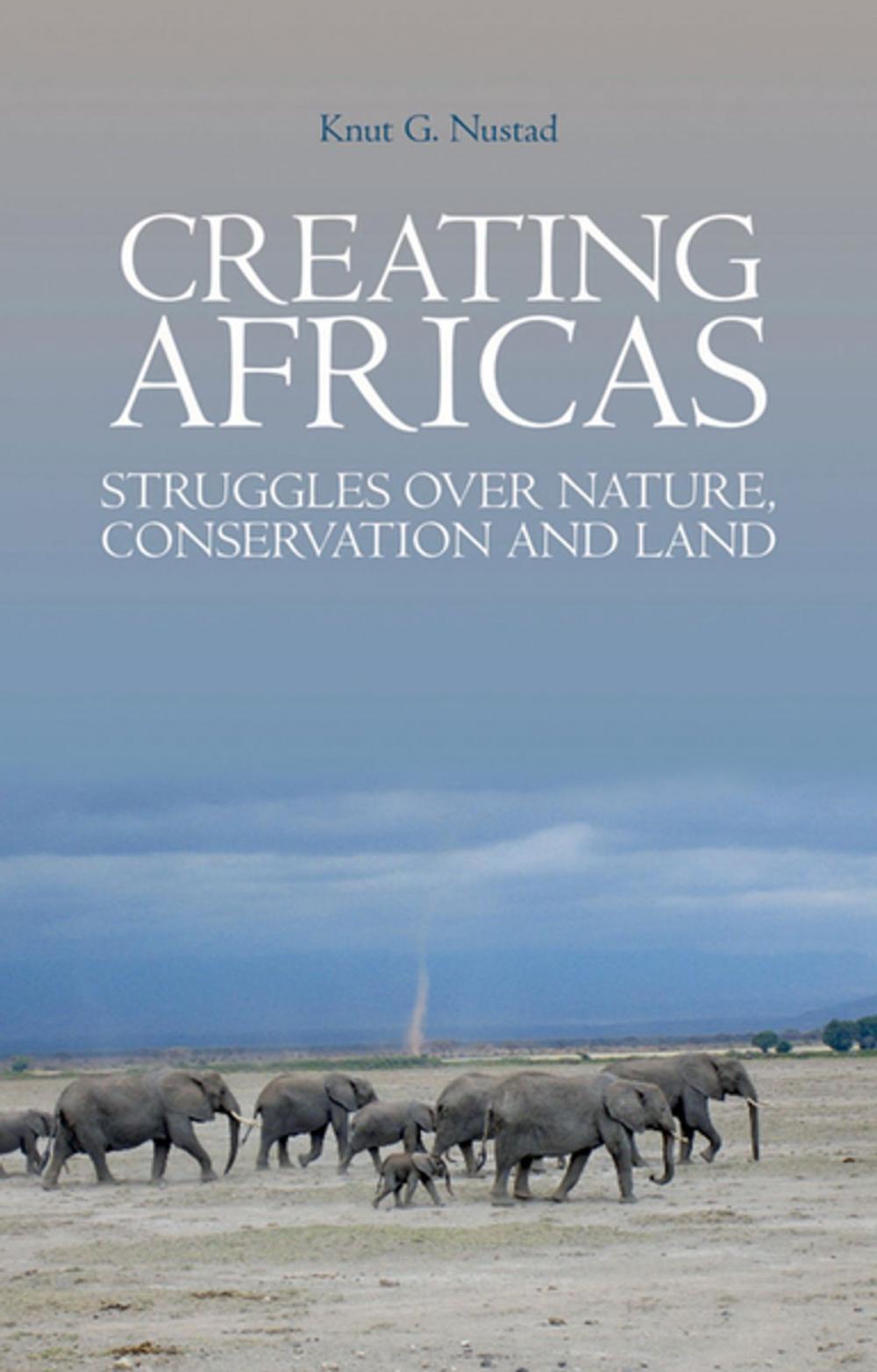 Big bigCover of Creating Africas