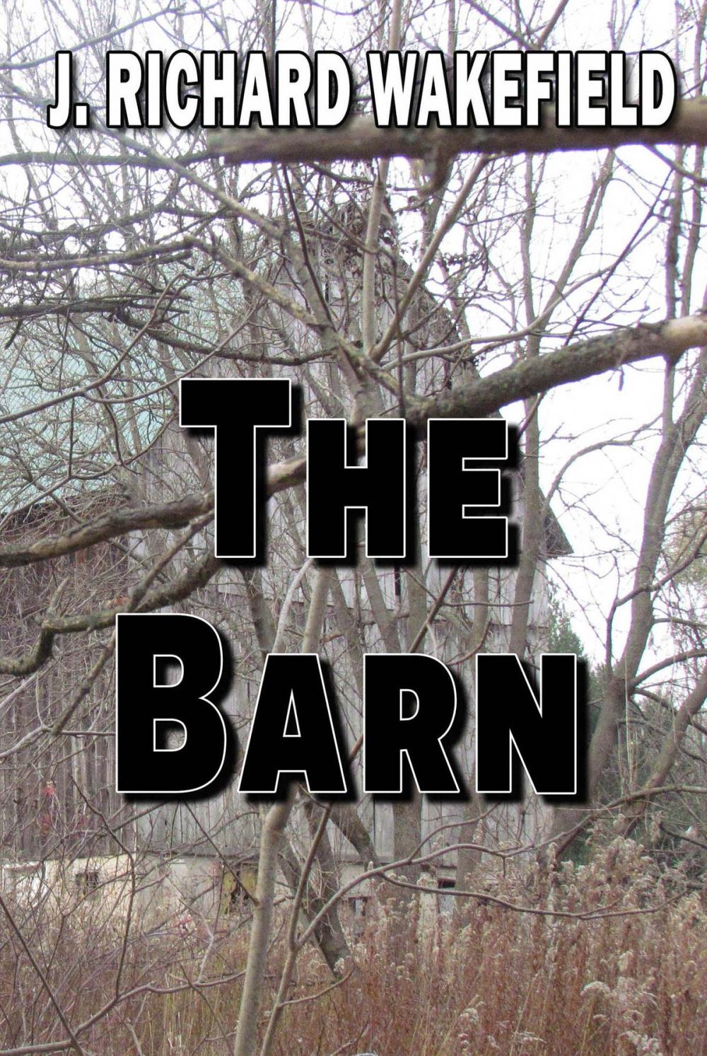 Big bigCover of The Barn