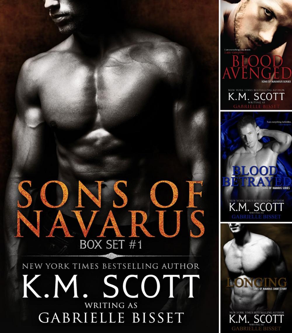 Big bigCover of Sons of Navarus Box Set #1