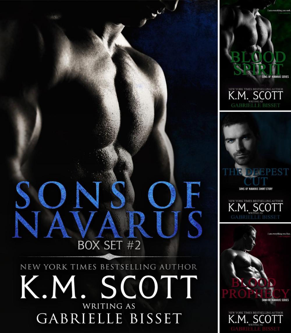 Big bigCover of Sons of Navarus Box Set #2