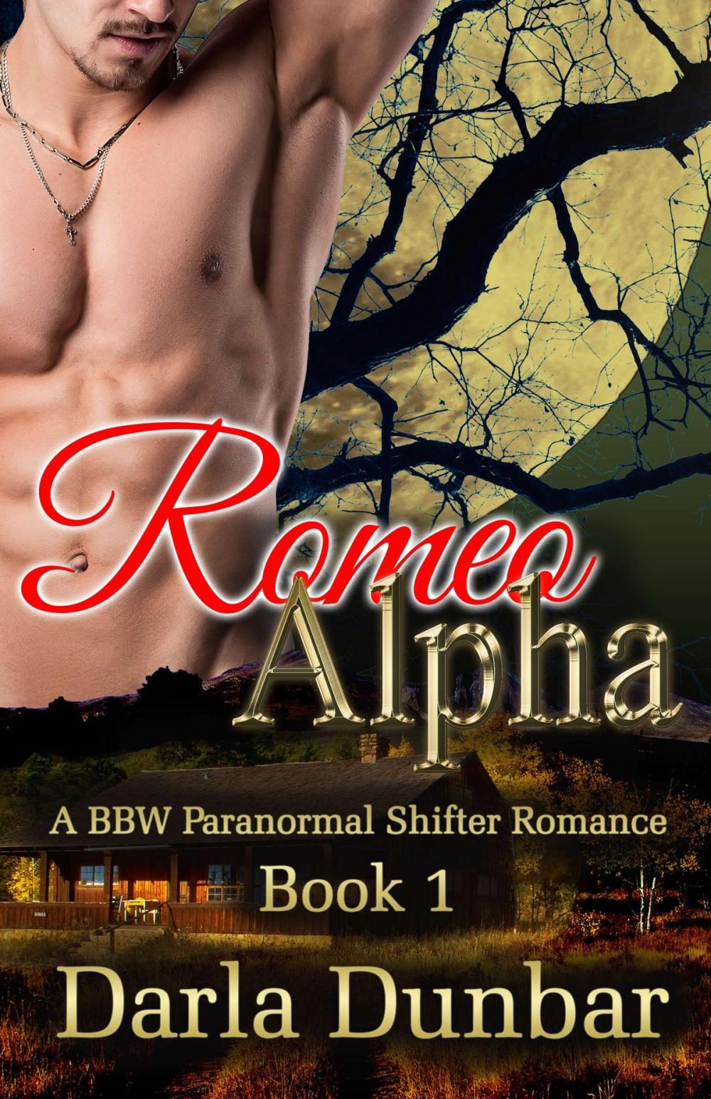 Big bigCover of Romeo Alpha - Book 1