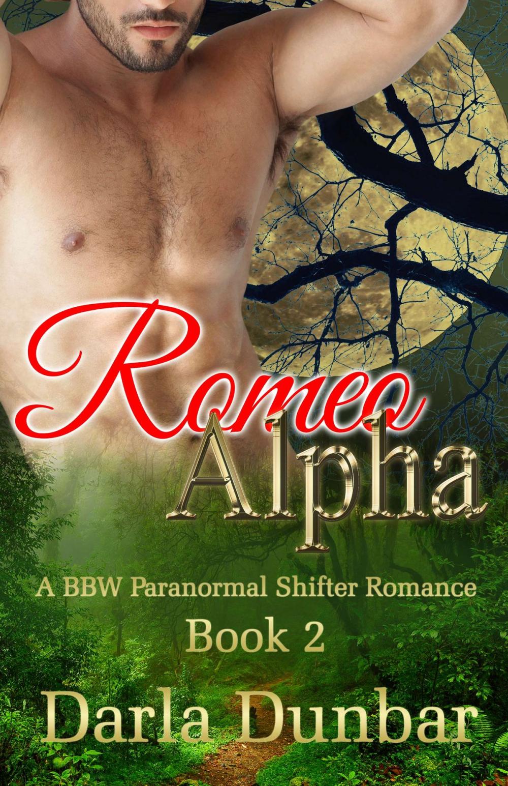 Big bigCover of Romeo Alpha - Book 2