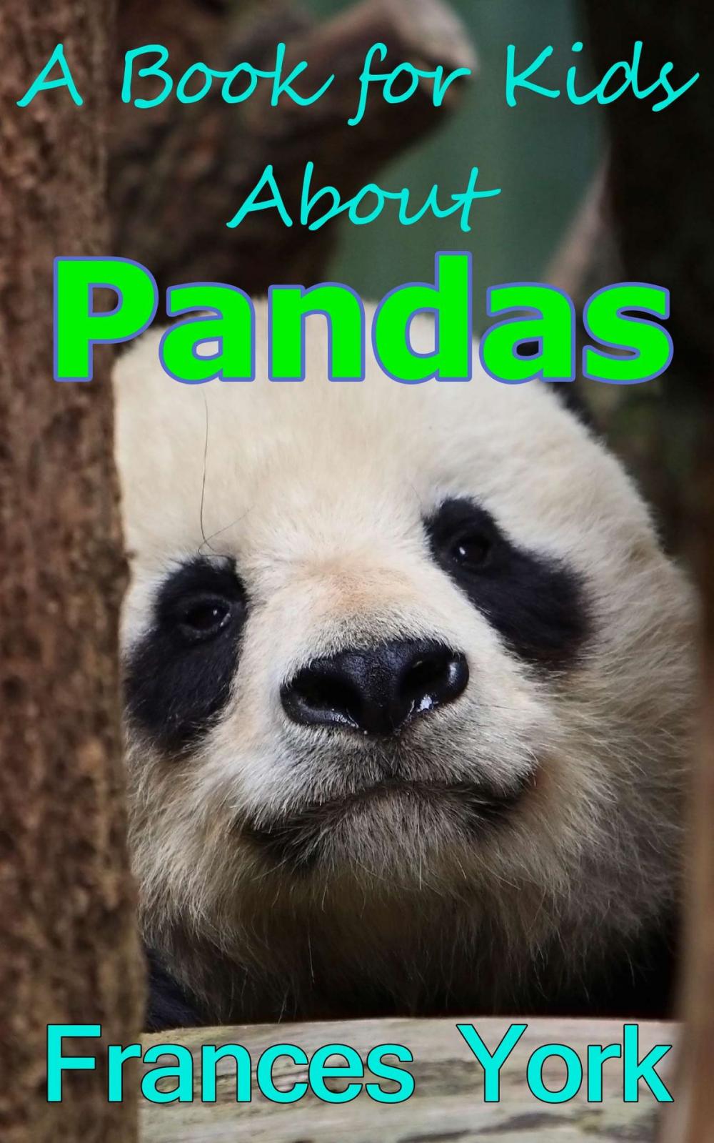 Big bigCover of A Book For Kids About Pandas: The Giant Panda Bear