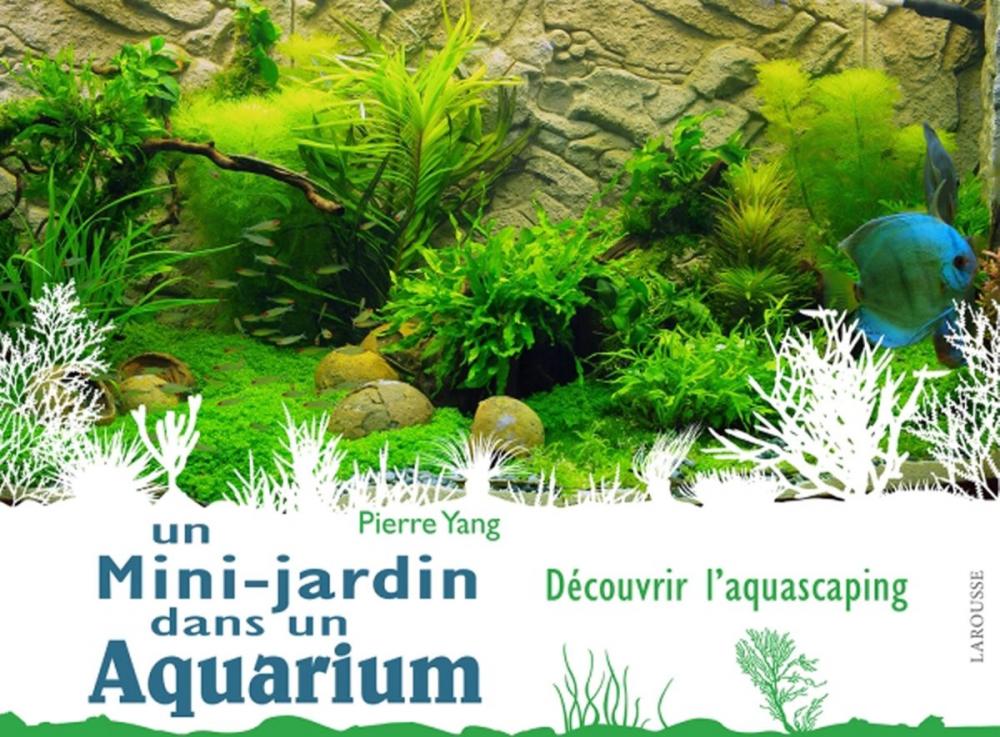 Big bigCover of Un mini jardin dans un aquarium