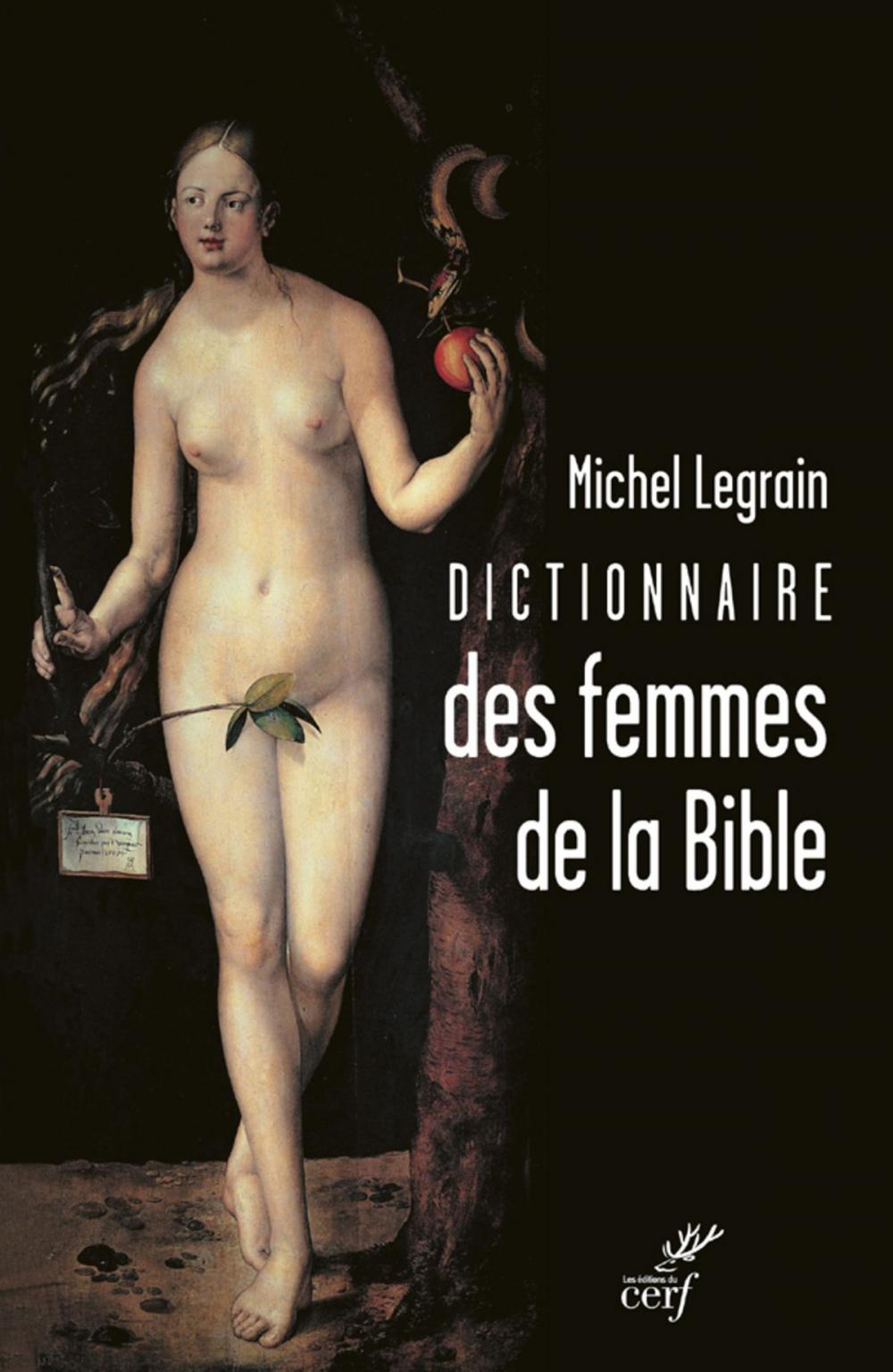 Big bigCover of Dictionnaire des femmes de la Bible