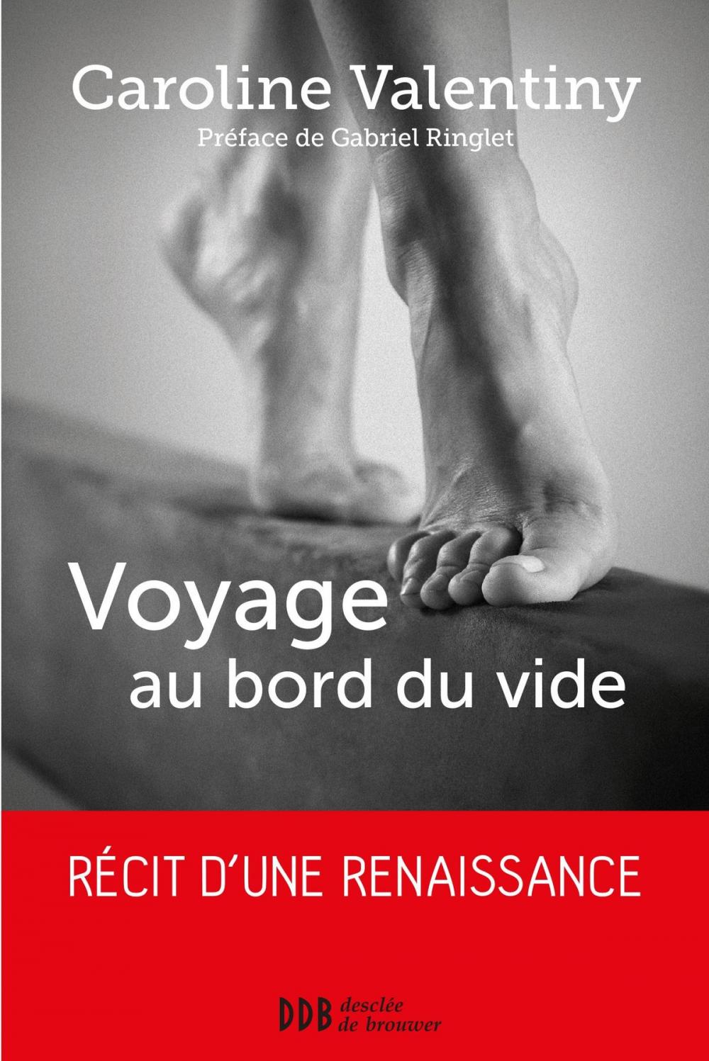 Big bigCover of Voyage au bord du vide