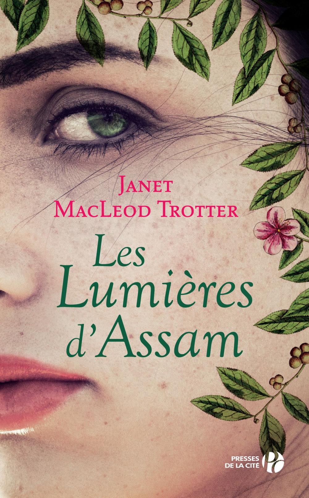 Big bigCover of Les lumières d'Assam