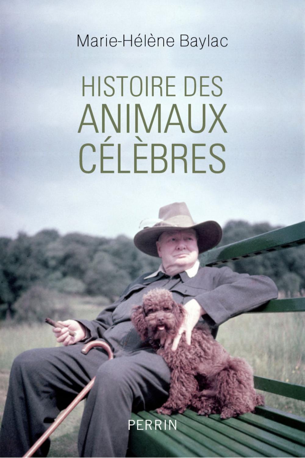 Big bigCover of Histoire des animaux célèbres