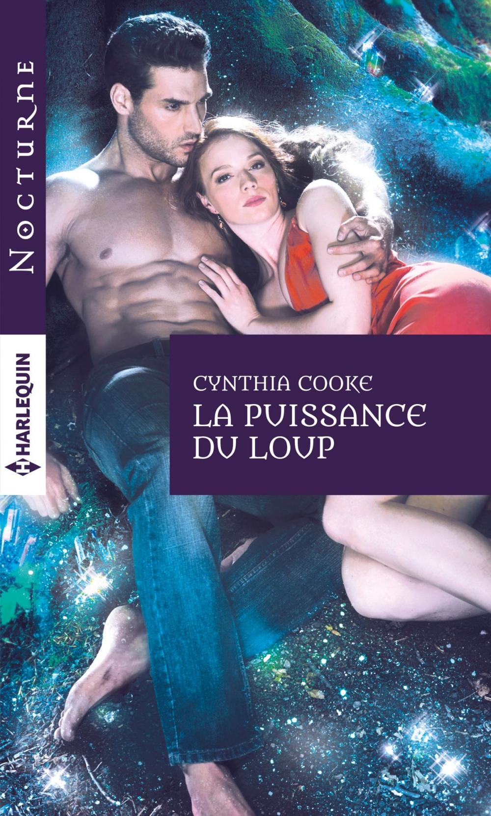 Big bigCover of La puissance du loup