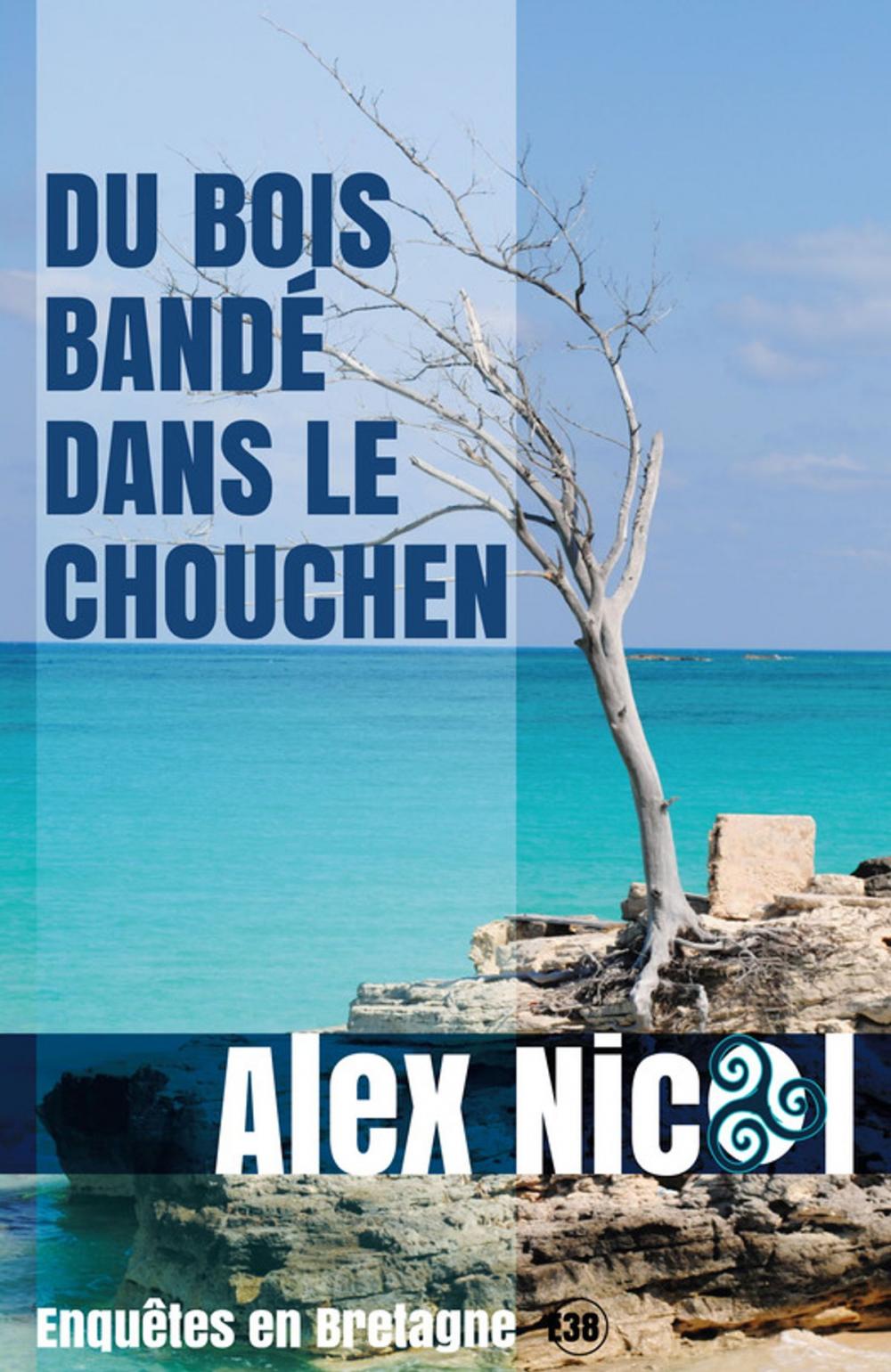 Big bigCover of Du bois bandé dans le chouchen