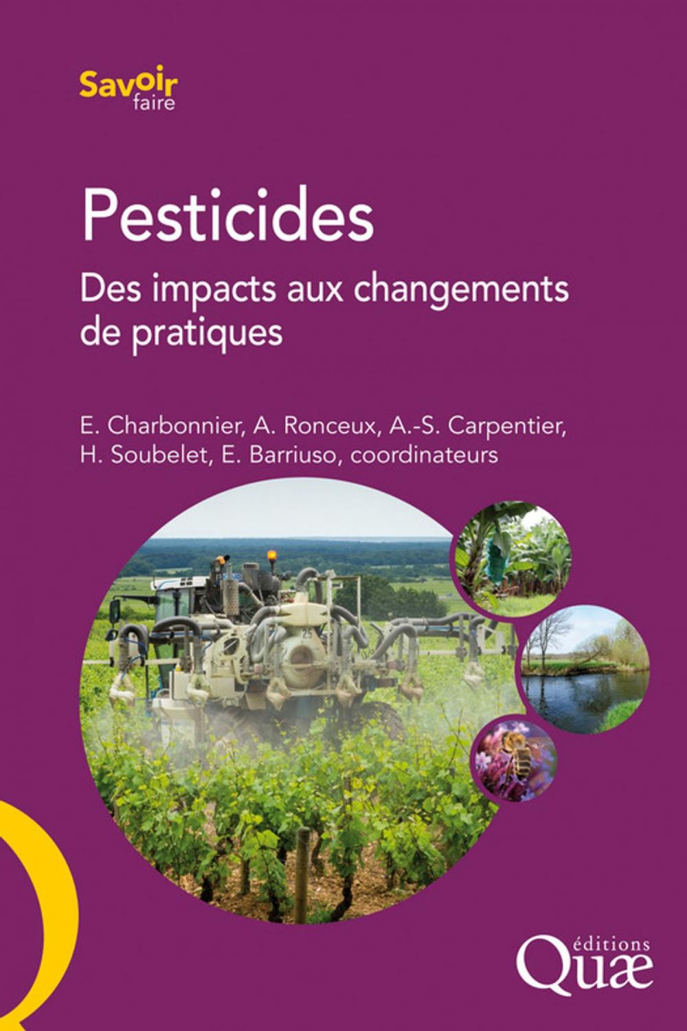 Big bigCover of Pesticides