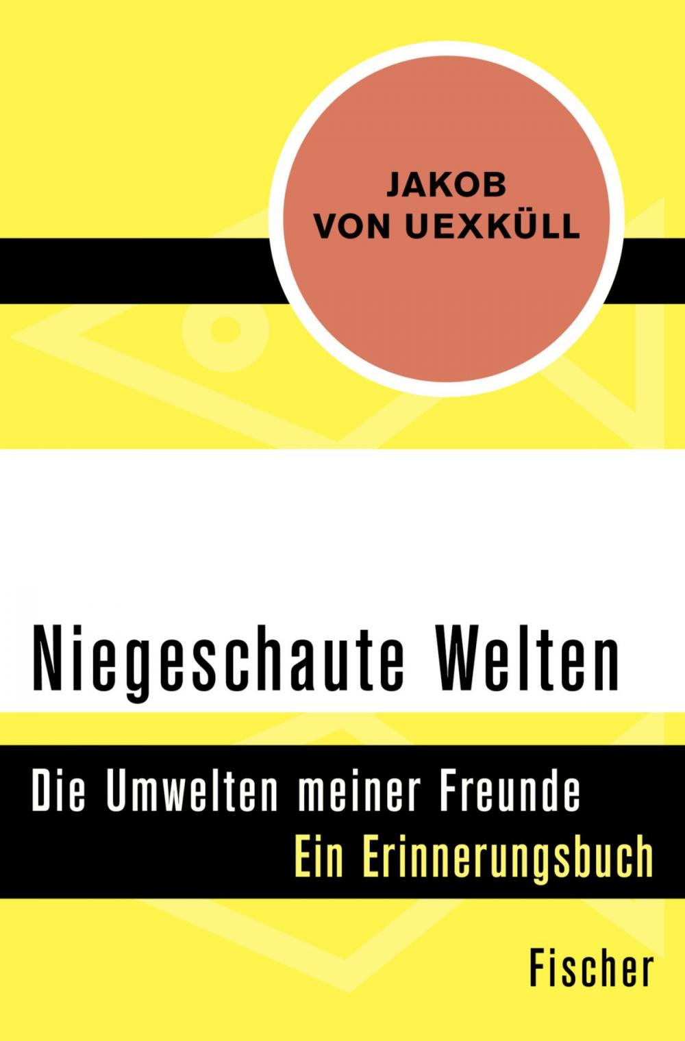 Big bigCover of Niegeschaute Welten