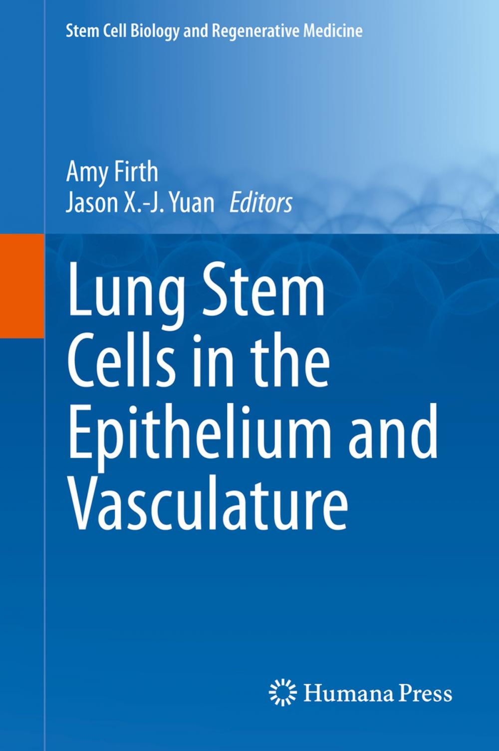 Big bigCover of Lung Stem Cells in the Epithelium and Vasculature