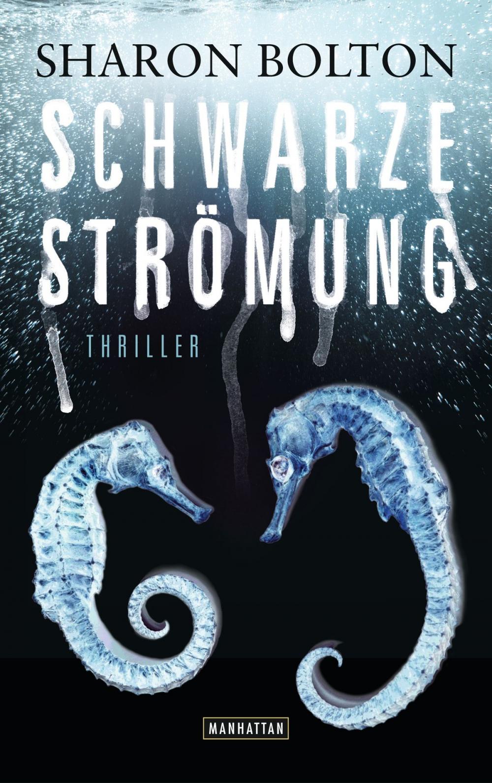 Big bigCover of Schwarze Strömung - Lacey Flint 4