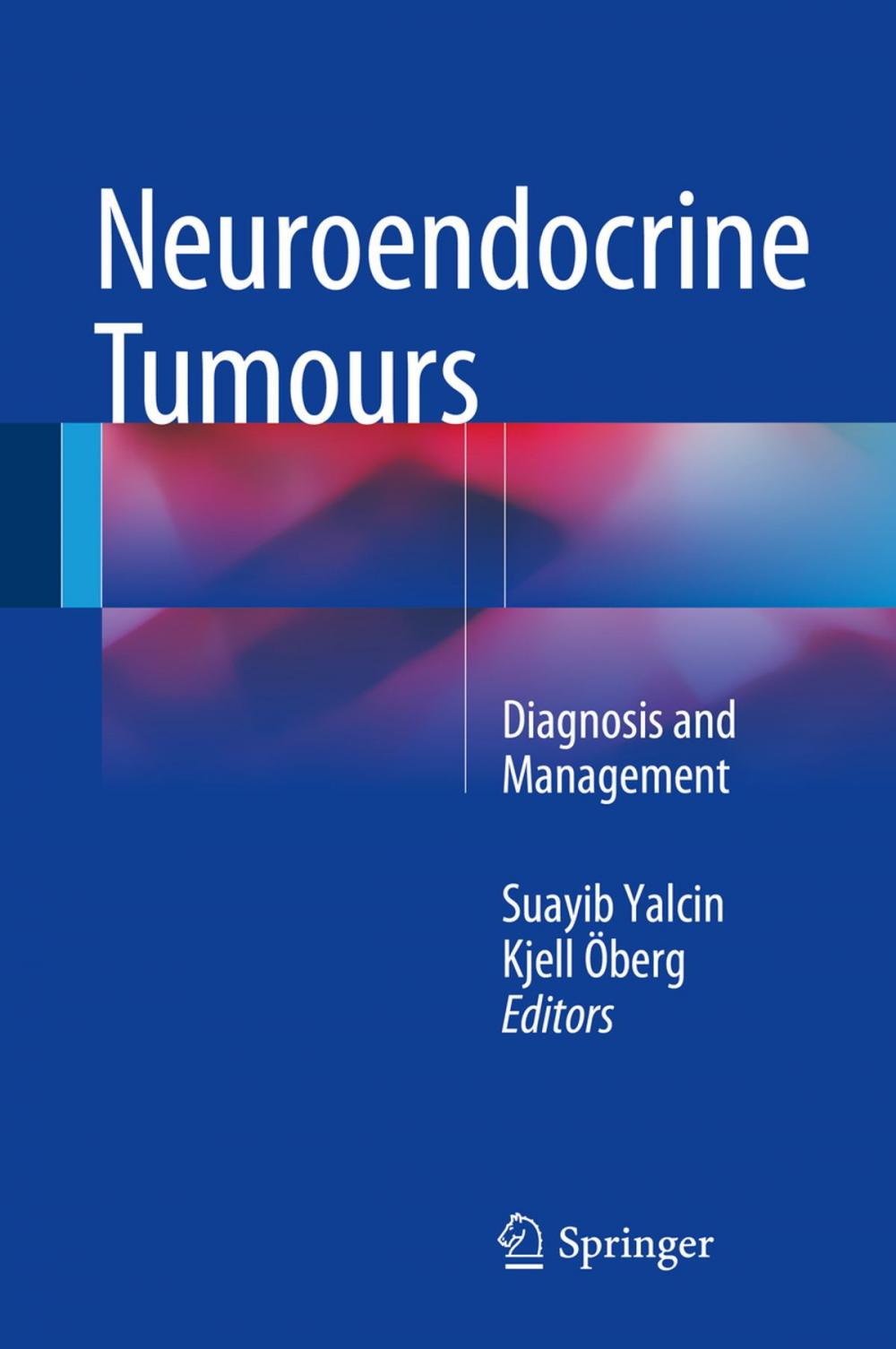 Big bigCover of Neuroendocrine Tumours