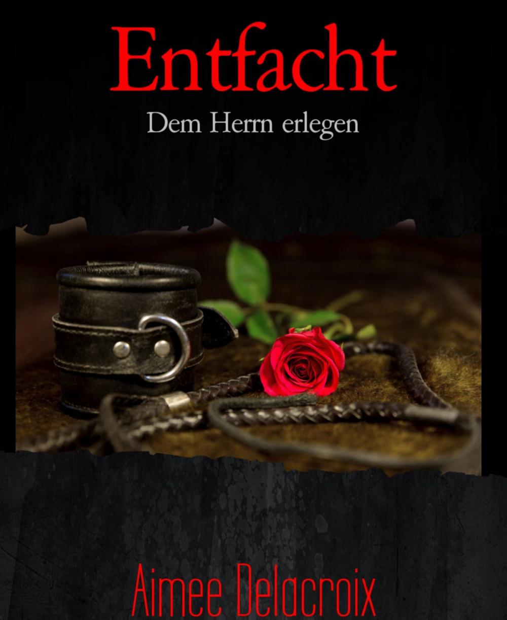Big bigCover of Entfacht