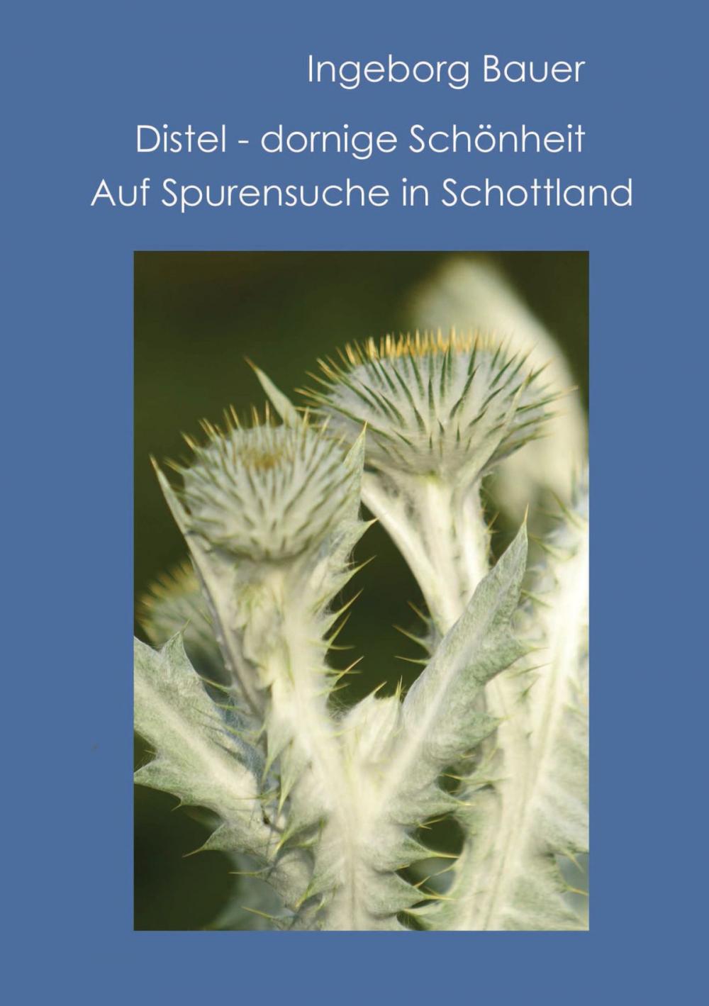 Big bigCover of Distel - dornige Schönheit