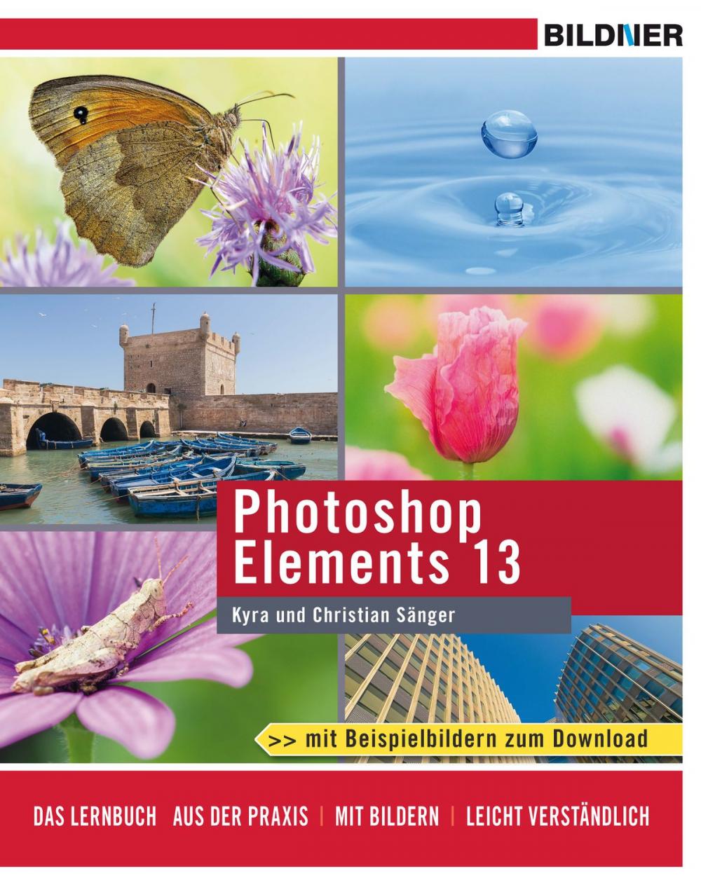 Big bigCover of Photoshop Elements 13