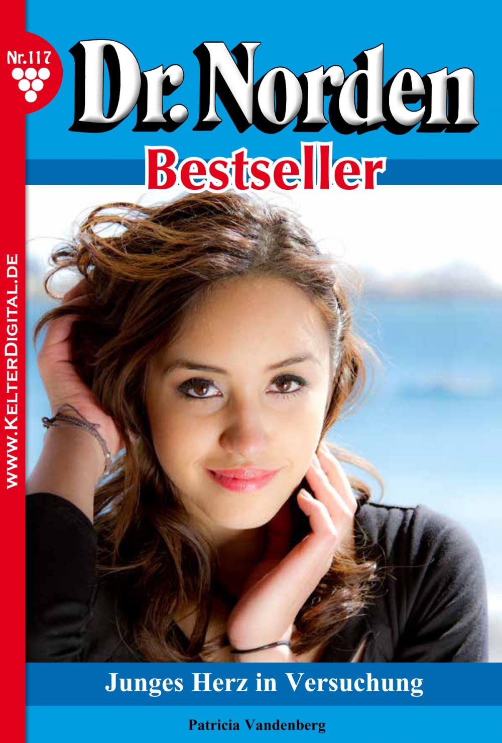 Big bigCover of Dr. Norden Bestseller 117 – Arztroman