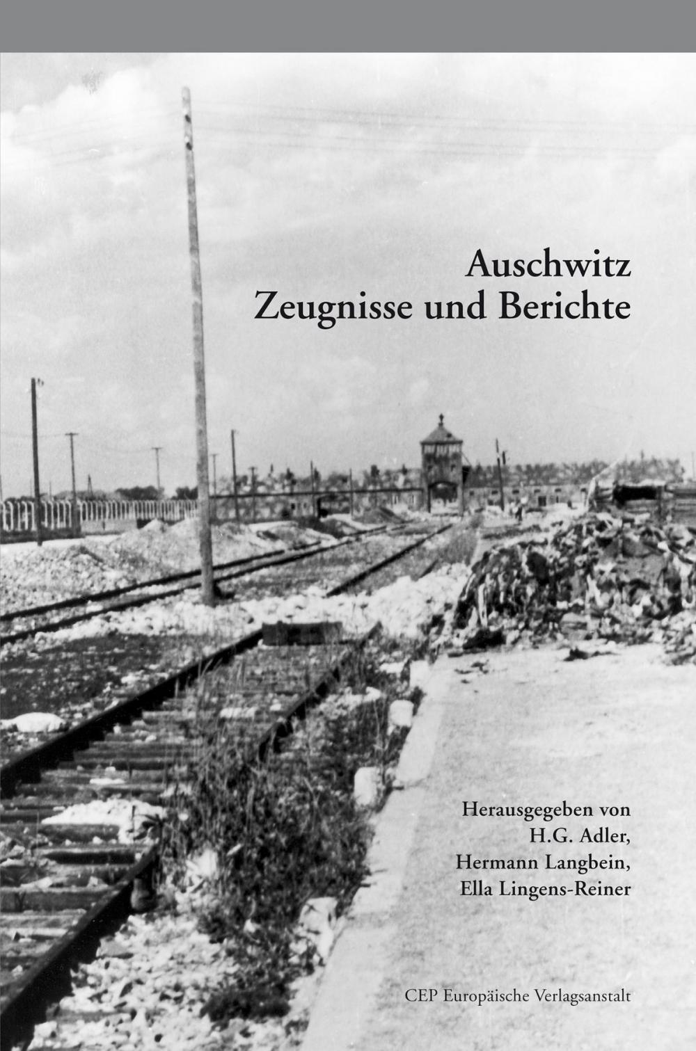 Big bigCover of Auschwitz