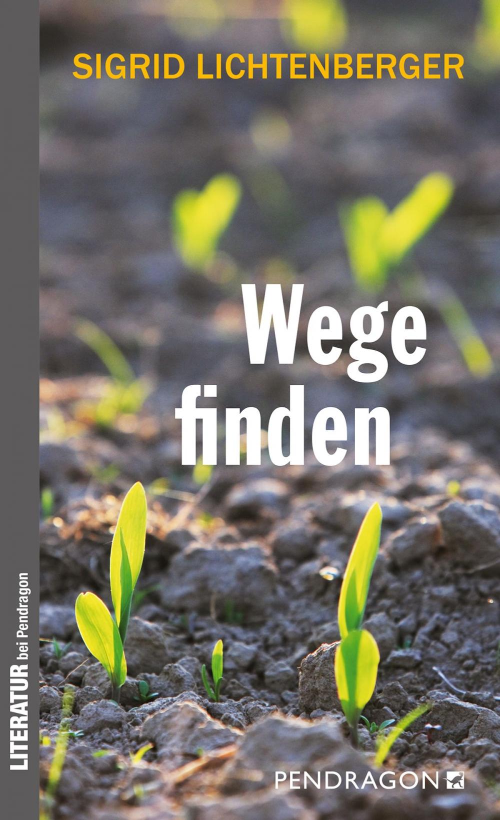 Big bigCover of Wege finden