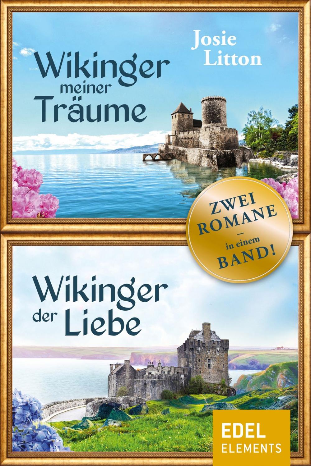 Big bigCover of Wikinger der Liebe / Wikinger meiner Träume