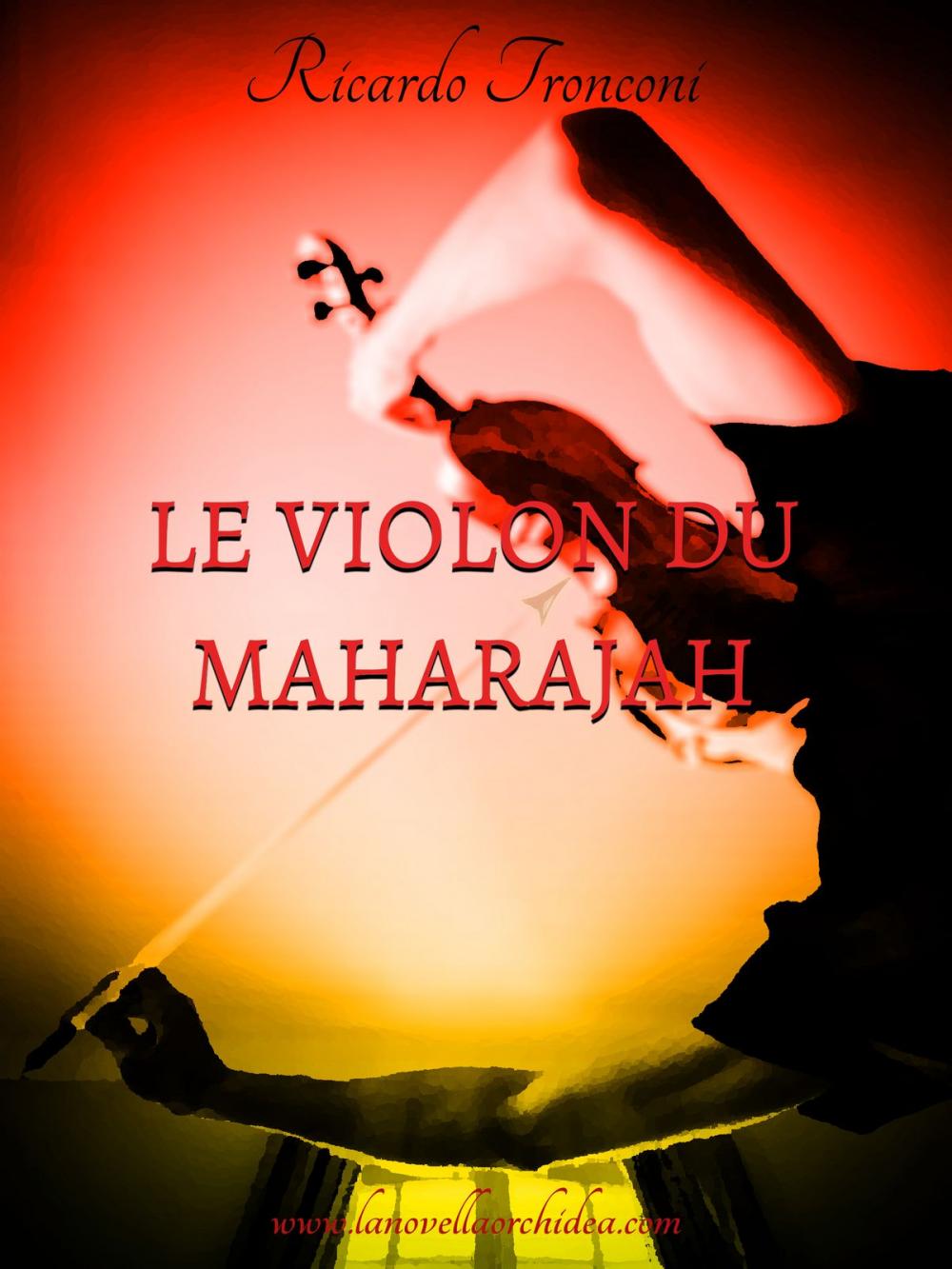 Big bigCover of Le violon du Maharajah