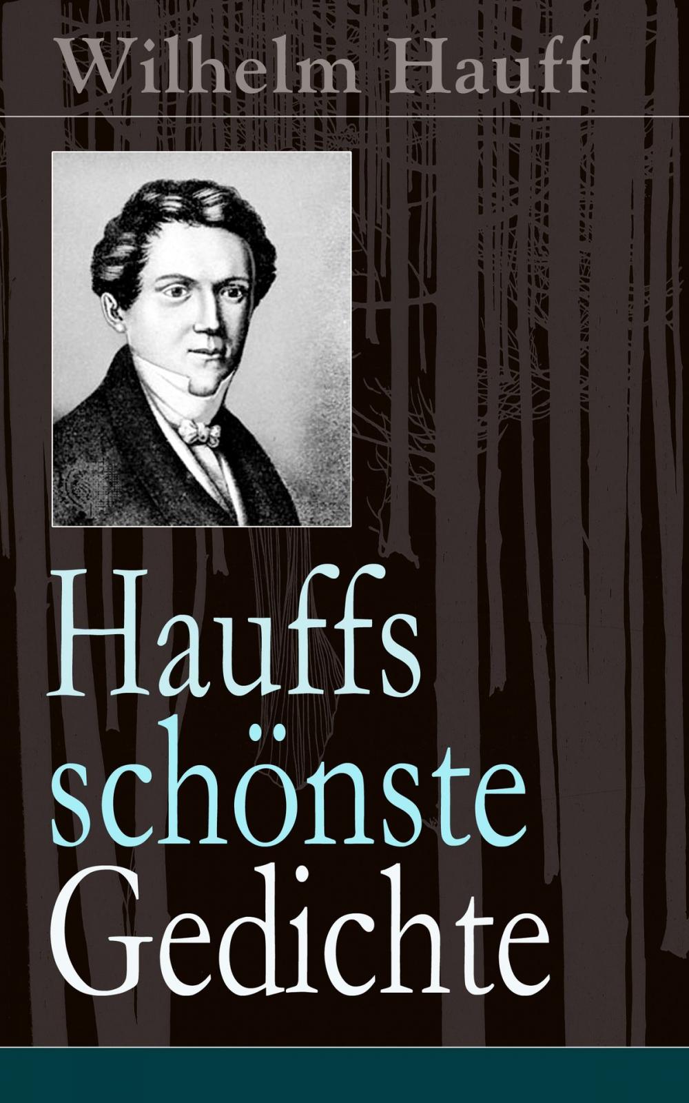 Big bigCover of Hauffs schönste Gedichte