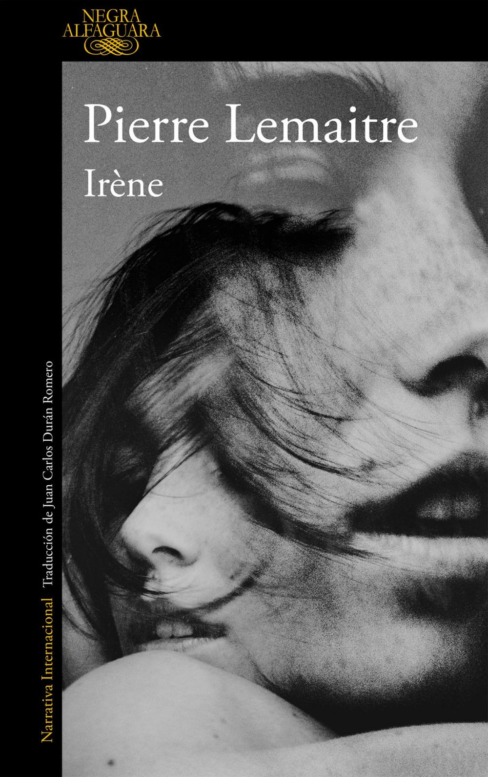 Big bigCover of Irène (Un caso del comandante Camille Verhoeven 1)