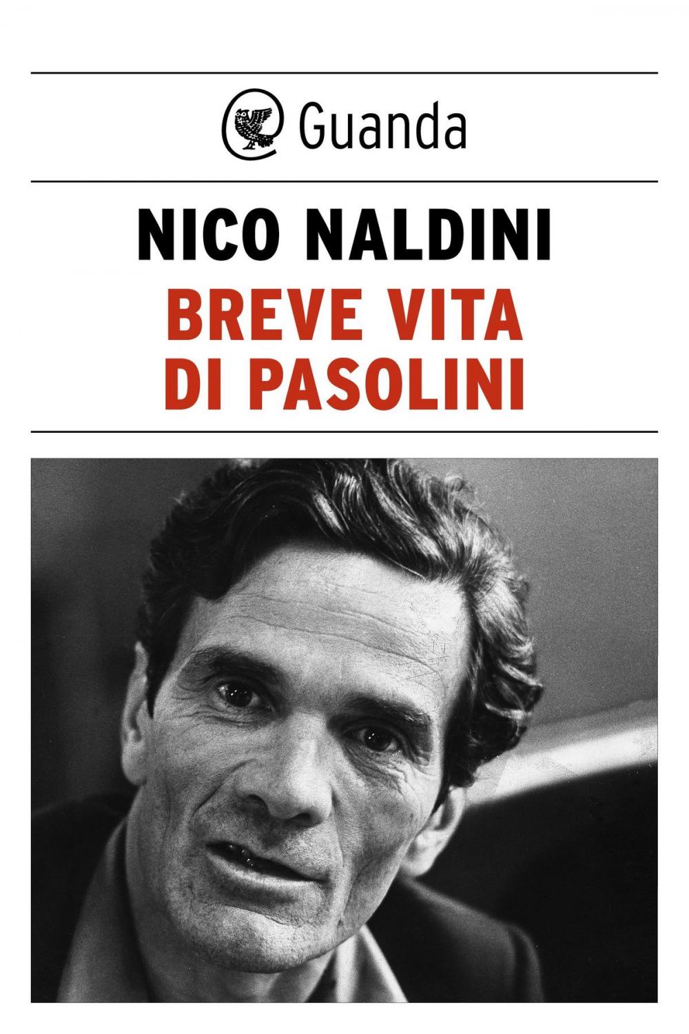 Big bigCover of Breve vita di Pasolini