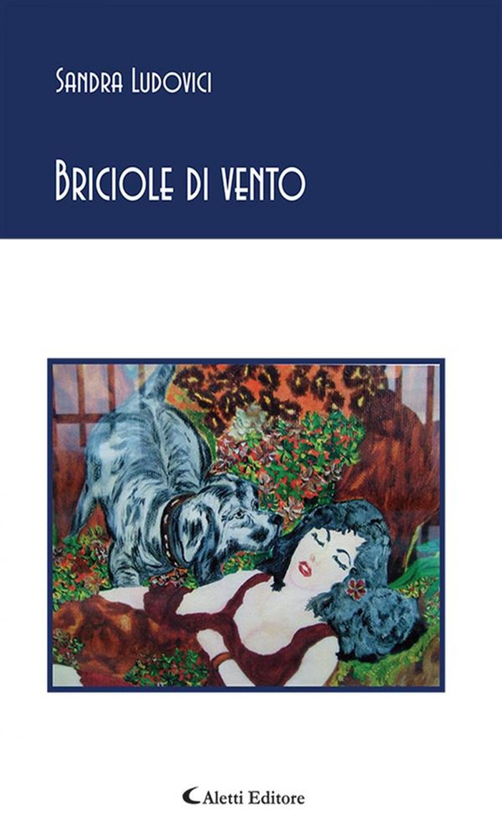 Big bigCover of Briciole di vento