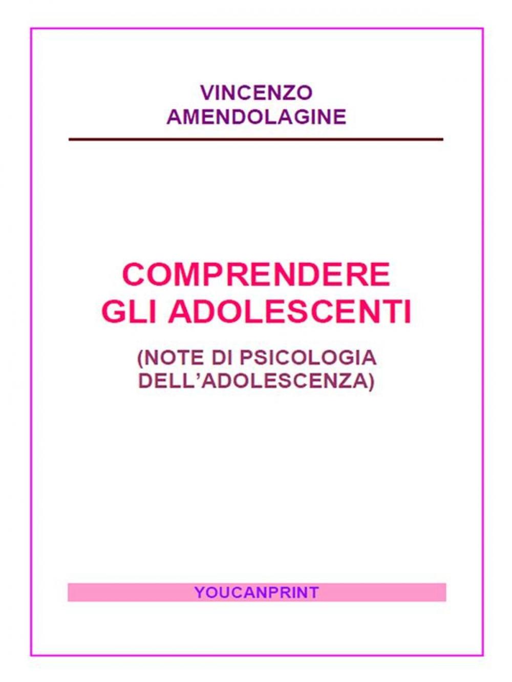 Big bigCover of Comprendere gli adolescenti