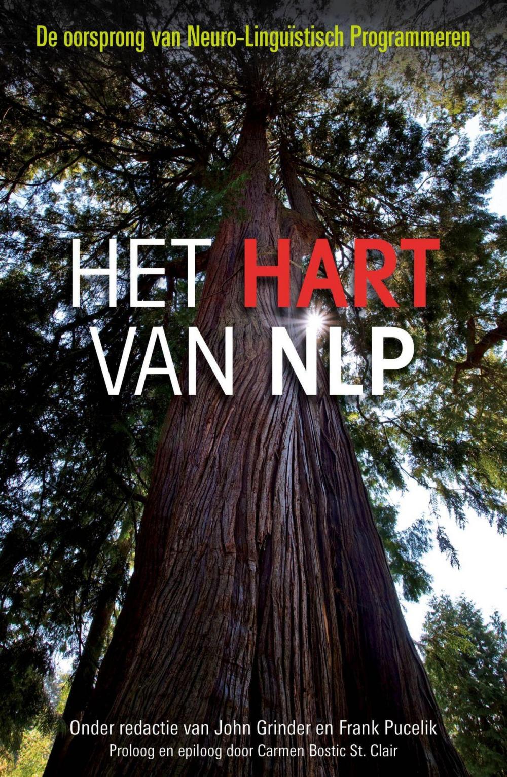 Big bigCover of Het hart van NLP