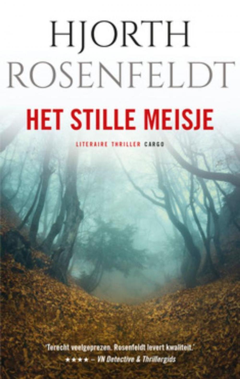 Big bigCover of Het stille meisje